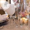 Bella Platinum Banded Stemware Glassware