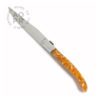 Amber Handled Steak Knife